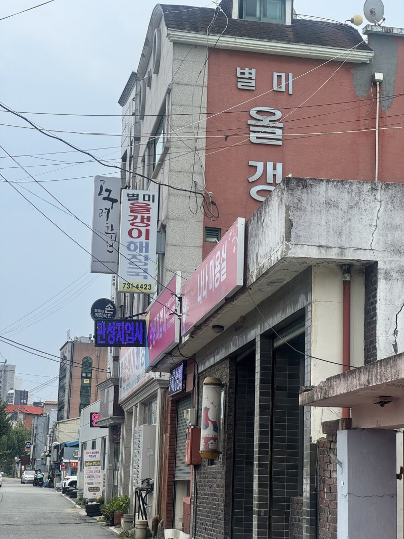 옥천 현지인 맛집 별미올갱이 후기