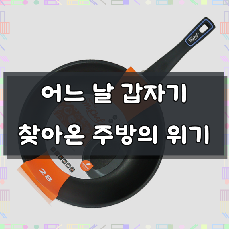 도루코 퓨어라이트 애쉬블루 IH 인덕션 궁중팬