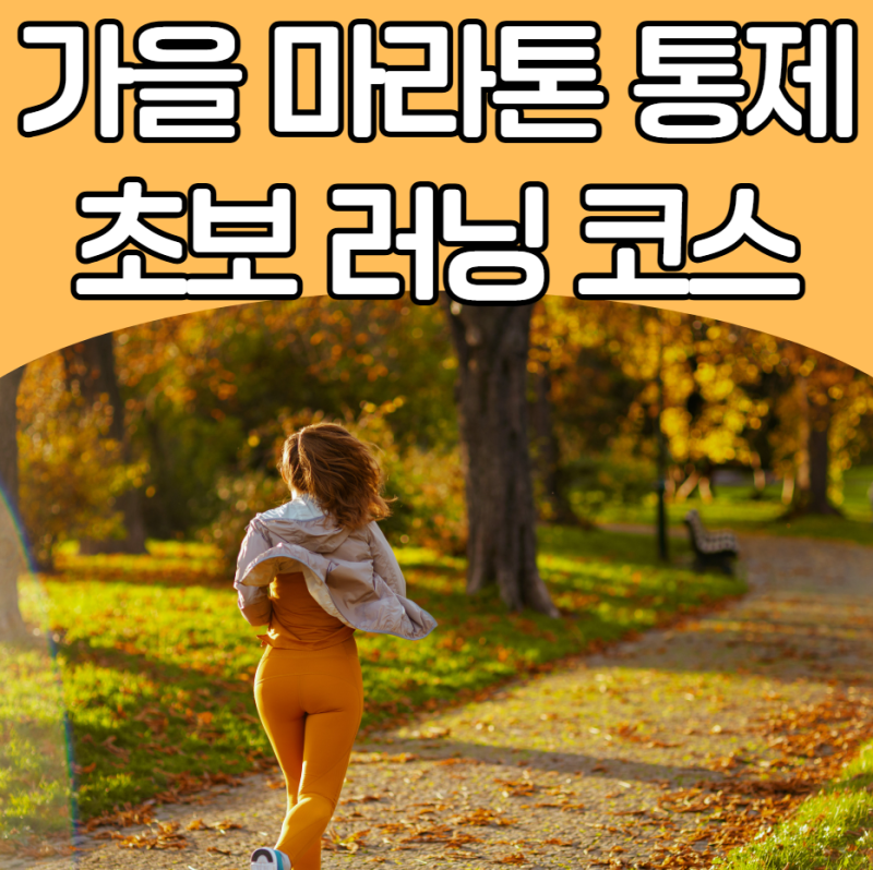 주말 서울 도심 교통통제 주의! 2026 가을 마라톤 통제 구간과 초보 러닝 코스, 우회로 꿀팁