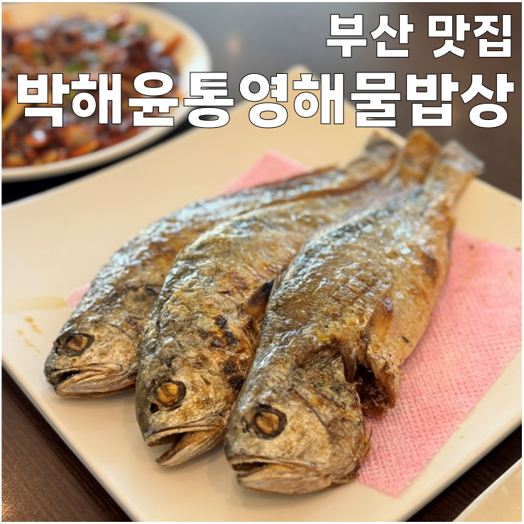 [맛집] 박해윤통영해물밥상 수영광안점 | 보리굴비 정식 | 낙지볶음 | 가족 식사 장소 추천 | ....