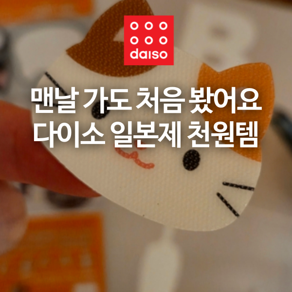 맨날 가도 이런 거 처음 봤어요 다이소 일본제 1천원 꿀템