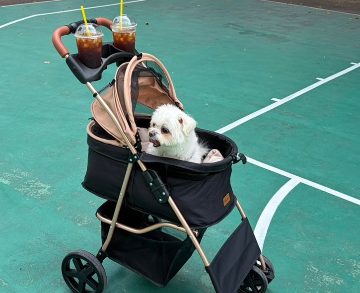 레토 원터치 퀵폴딩 강아지 유모차｜4kg 말티즈 내돈내산 개모차 후기