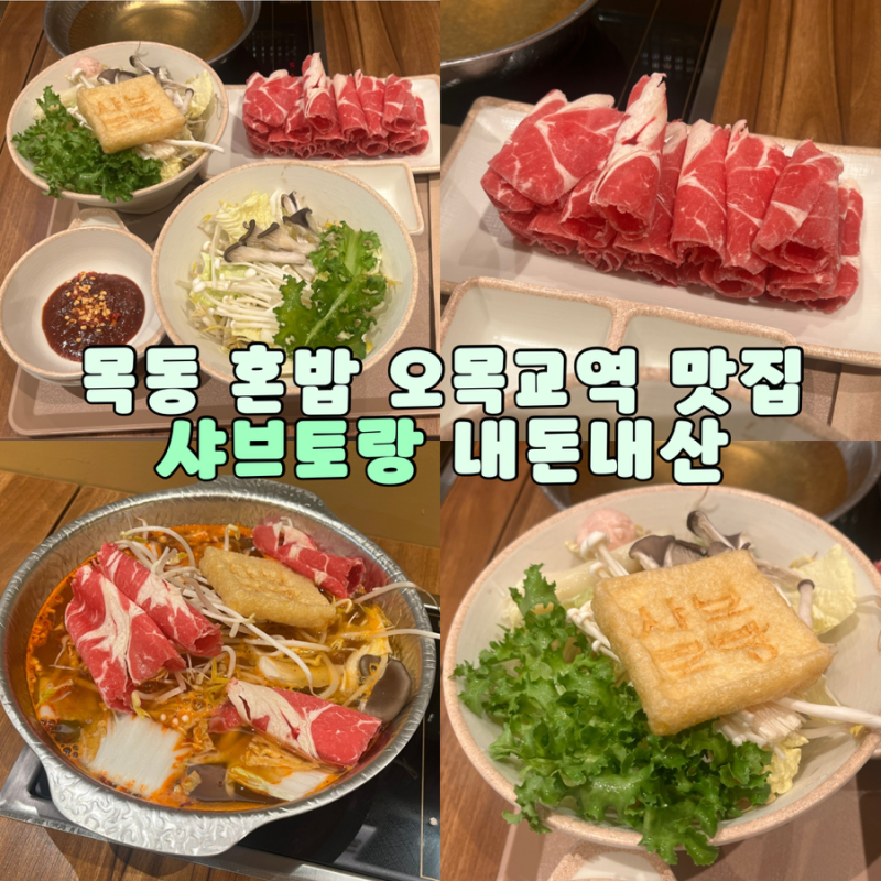 목동 오목교역 맛집 가성비 좋은 혼밥 샤브토랑 내돈내산 후기