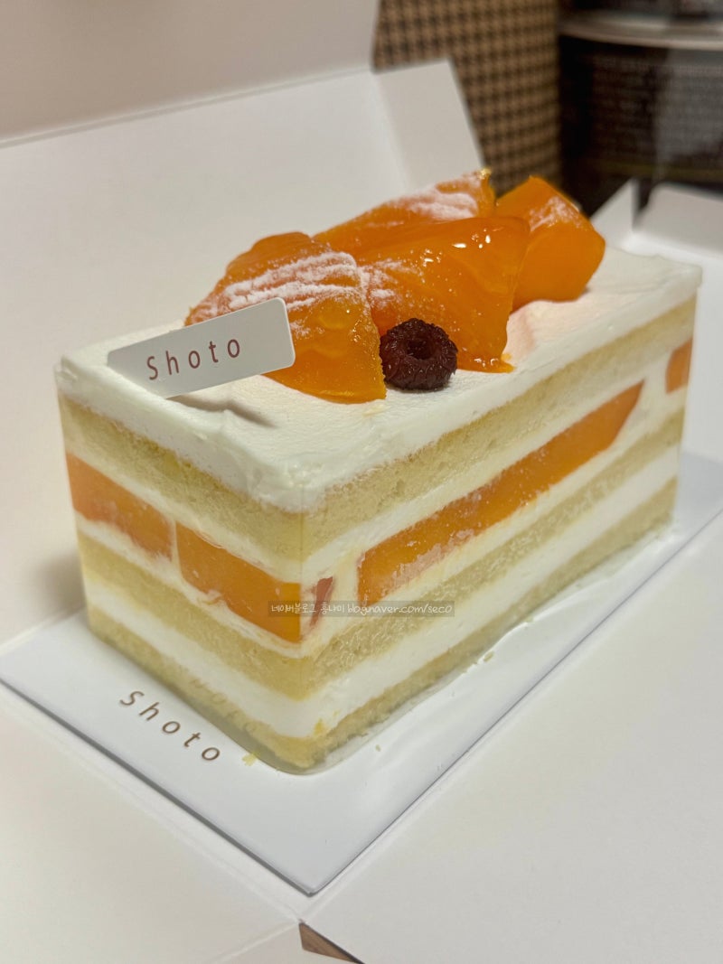 신세계강남 스위트파크 쇼토 애플망고케이크 하프사이즈