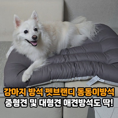 강아지 방석 추천, 펫브랜디 동동이방석 중형견 및 대형견 애견방석도 딱!