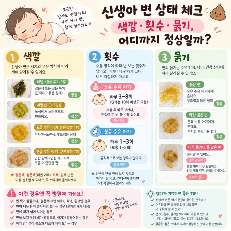신생아 변 상태 체크｜색깔·횟수·묽기, 어디까지 정상일까?