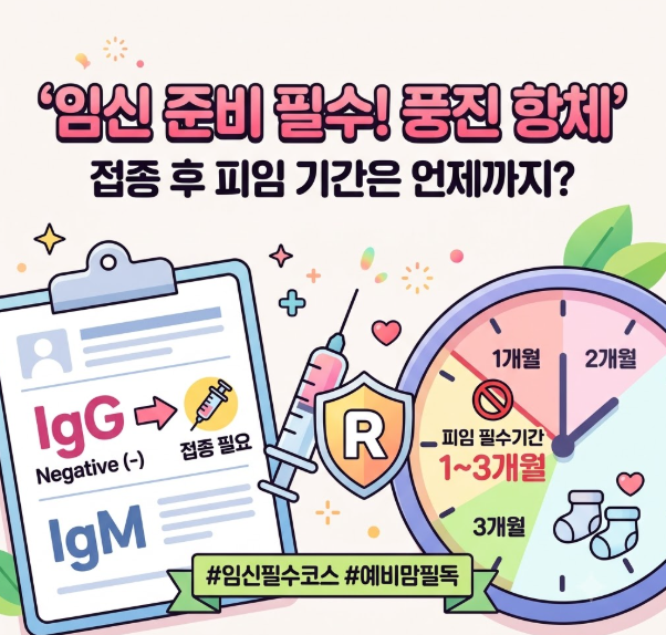 [신혼부부 산전검사 2탄] 풍진 항체 검사 필수 이유 & 예방접종 후 피임 기간 완벽 정리