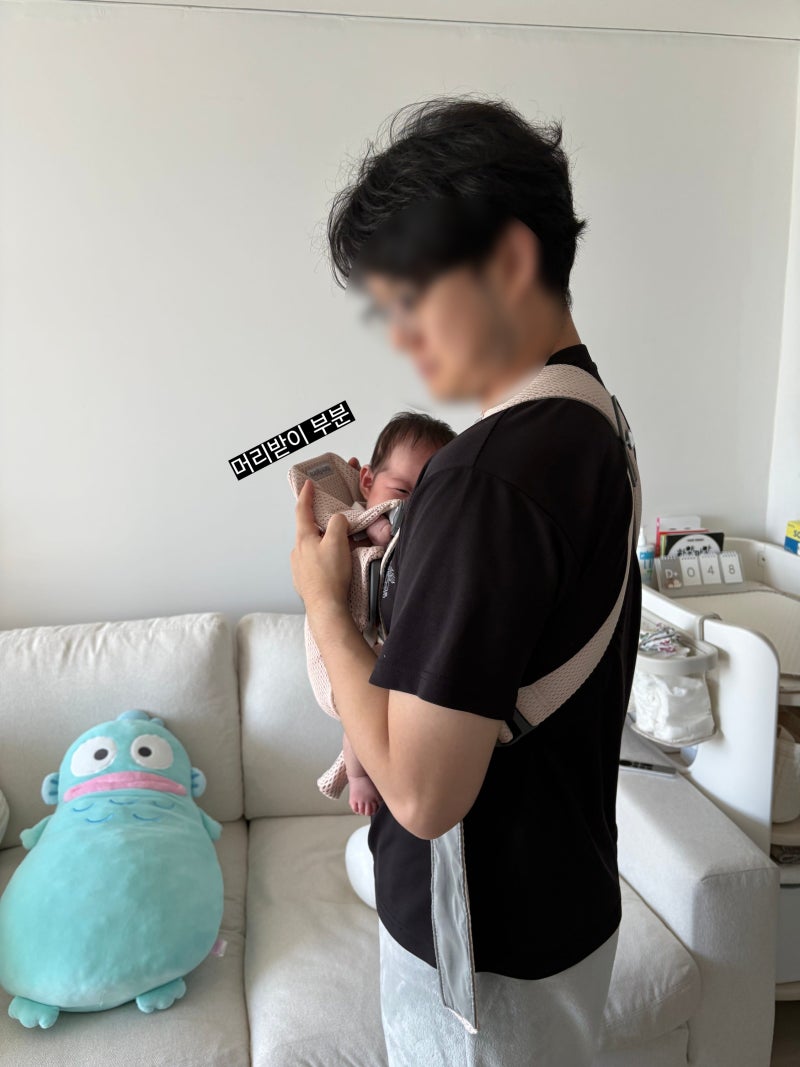 베이비뵨 미니 3D 메쉬 아기띠 사용 후기 | 신생아부터 사용해본 장단점