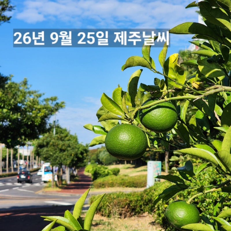 9월 25일 제주날씨 서귀포 실시간 옷차림 추석 명절 당일 맑고 포근한 날씨 한라산 예보