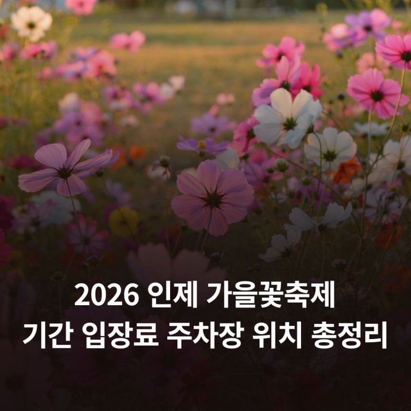 2026 인제 가을꽃축제 기간 입장료 주차장 위치 총정리
