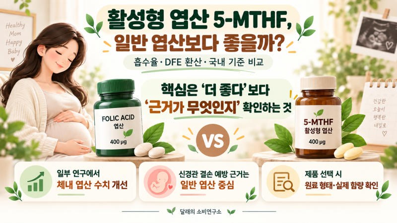 활성형 엽산 5-MTHF, 일반 엽산보다 좋을까?｜흡수율·DFE 환산·국내 기준 비교