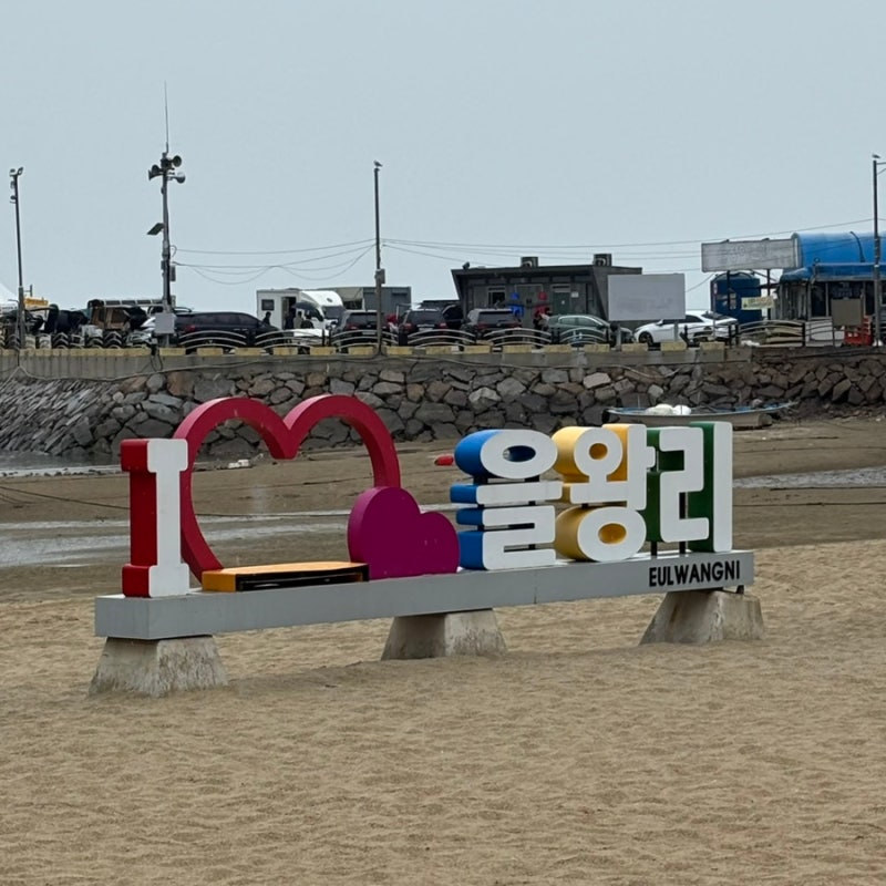 서울근교 뚜벅이 당일치기 여행 인천 을왕리해수욕장 가는 방법 / 꼬니네 조개구이 / 카페모....