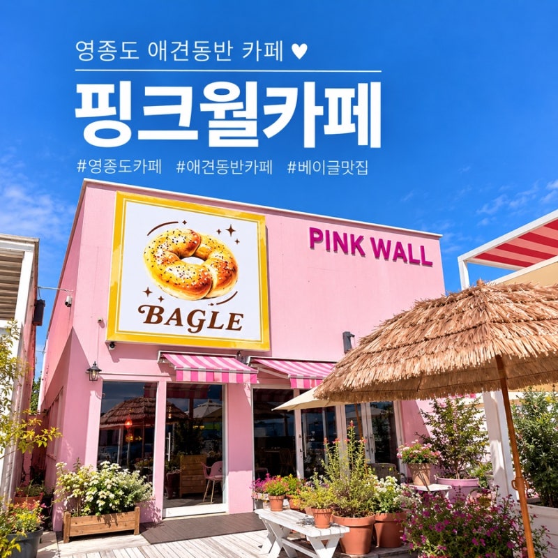 영종도 애견동반카페 핑크월카페｜영종도 베이커리카페추천