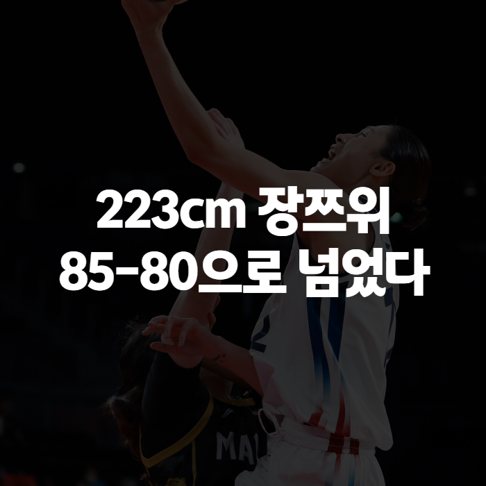 장쯔위 장쯔이 아니었다, 223cm 중국 센터 넘고 결승 간 여자농구 직관 후기