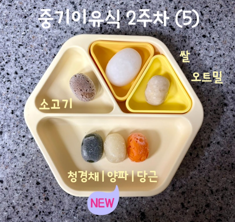 중기 이유식 2주차 식단표 :: 대두 알러지 테스트 그리고 살아난 새벽수유 이야기(ft. 큐브 재....