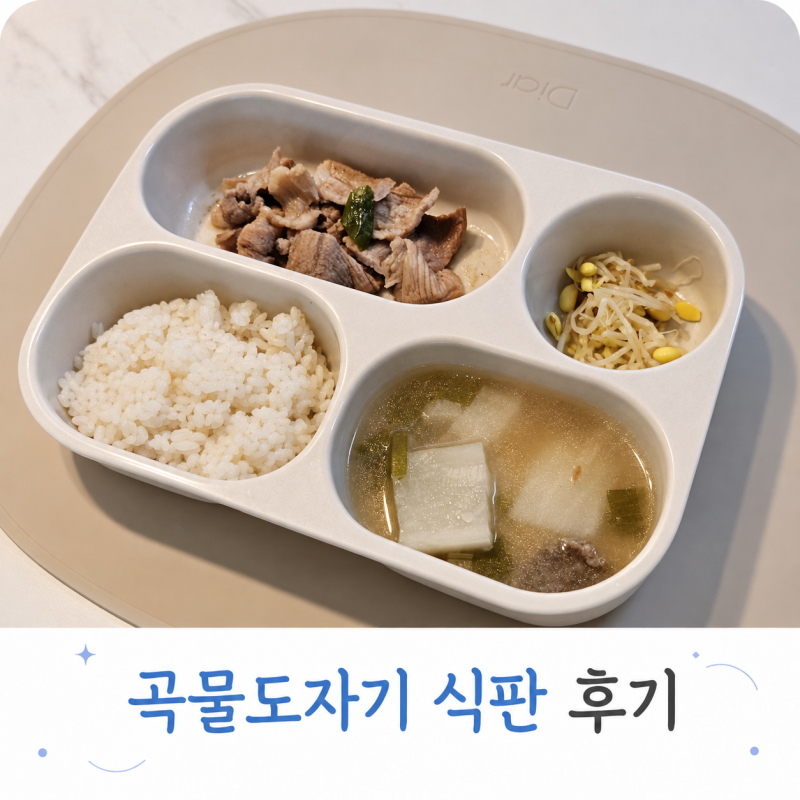 곡물도자기 식판 내돈내산 장단점｜가볍고 깊지만 아쉬운 점은?