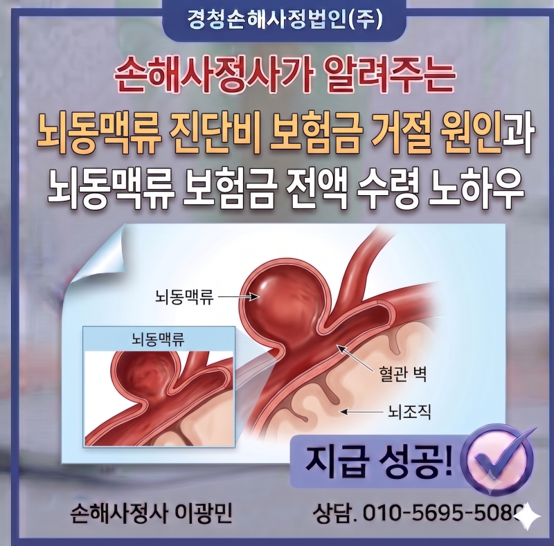 뇌동맥류 진단비 보험금 거절 원인과 뇌동맥류 보험금 전액 수령 노하우
