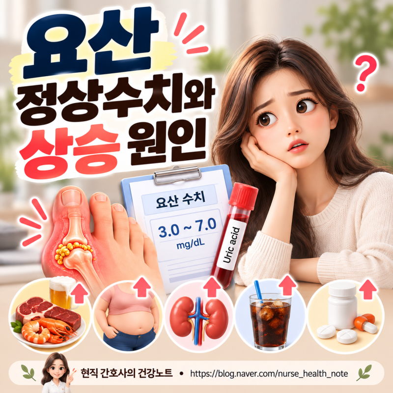 요산 정상수치는 몇일까? 요산이 높아지는 원인 5가지