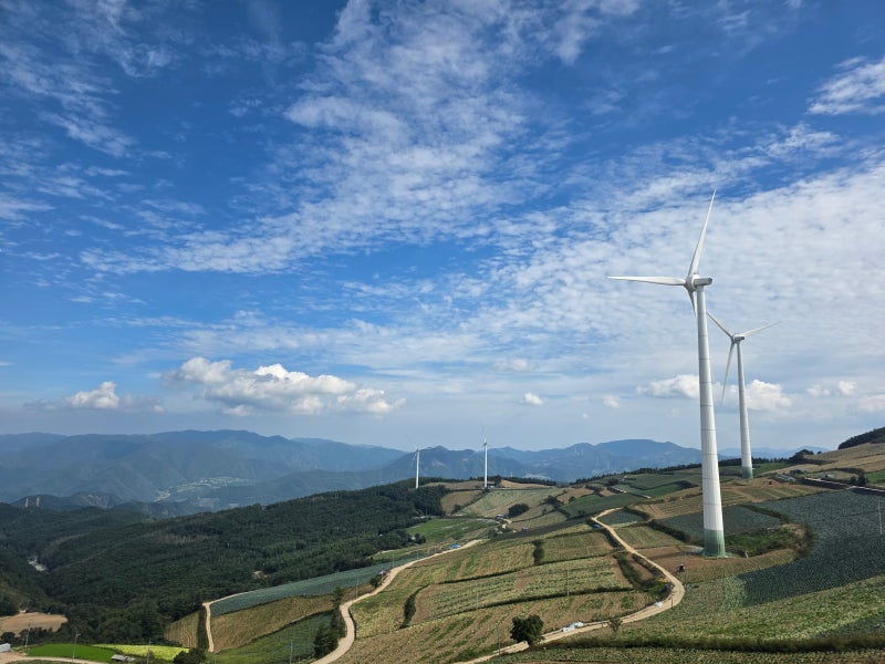 강원도 태백 가볼만한곳 바람의 언덕, 산뷰와 경치가 예술인 태백 여행