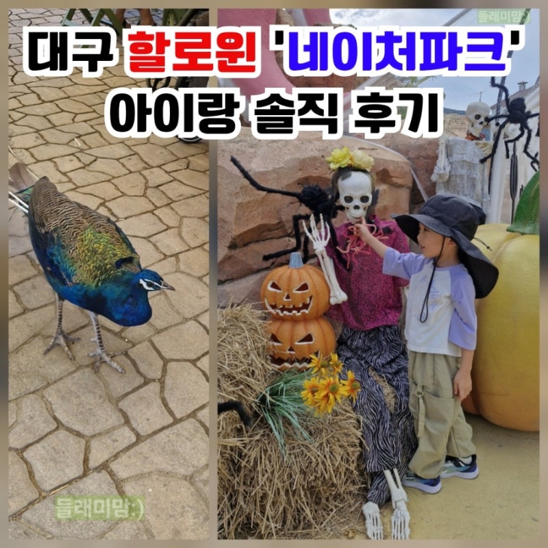 Nature Park: A Place to See Animals Up Close in Daegu with Kids | Halloween Season Review