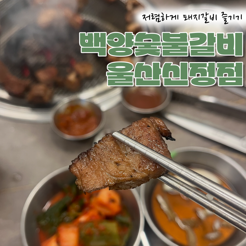 양념갈비 100g 3,300원! 생갈비부터 양념갈비 모두 합격이었던 '백양숯불갈비 울산신정점' 후기....