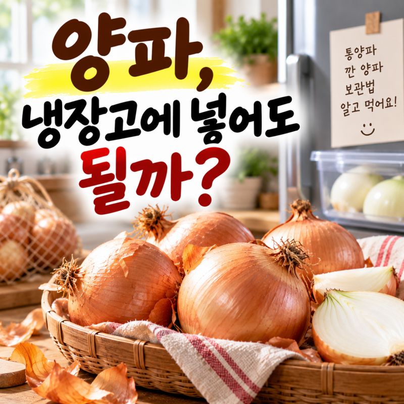 양파 냉장고에 넣어도 될까?｜깐 양파·통양파 오래 보관하는 법