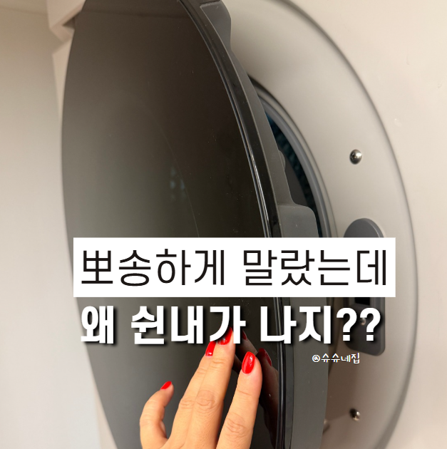 건조기까지 돌렸는데 빨래에서 쉰내가 난다면? "이것"부터 확인하세요(빨래 쉰내 제거 방법)