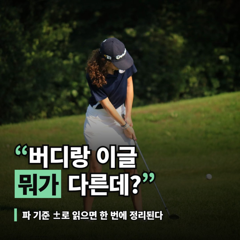 골프 타수 용어 정리, 버디 이글 보기가 파에서 갈리는 기준