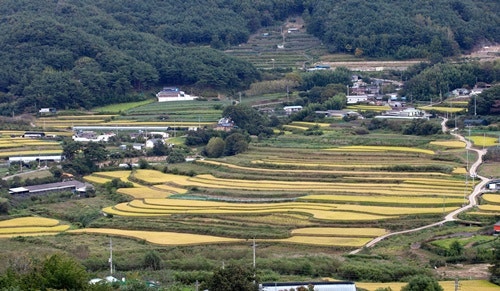 농지 전수조사 대상과 과태료, 상속·고령 농지는 정말 제외될까