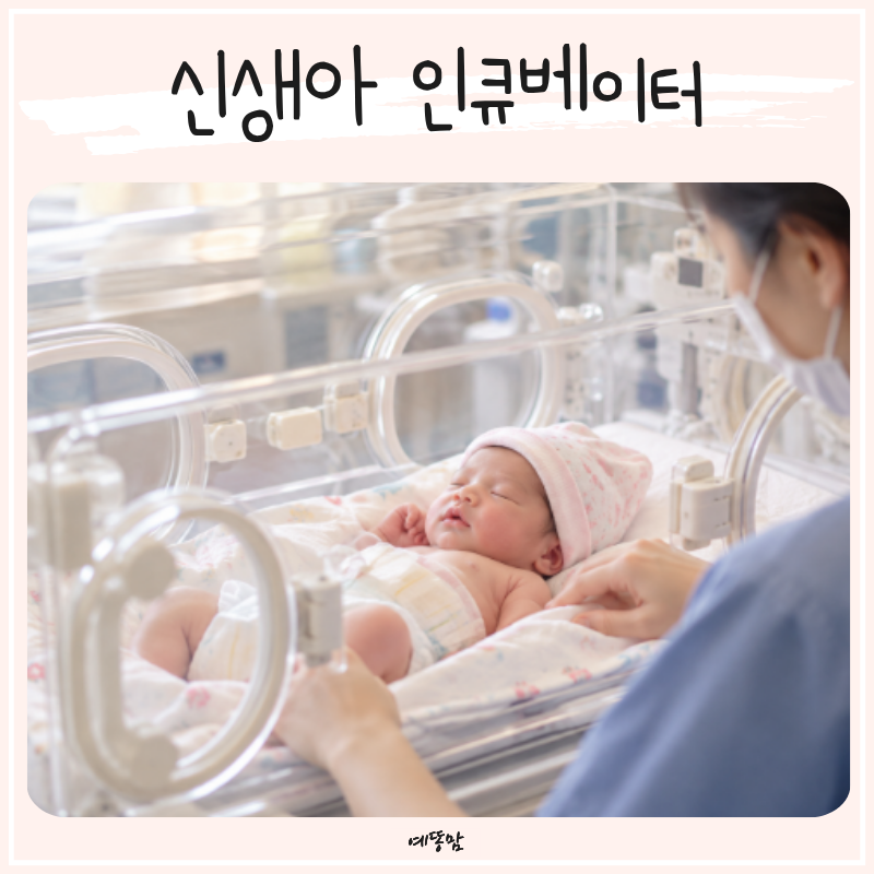 신생아 인큐베이터 언제 들어갈까? 니큐 중환자실 입원 기준 알아보기