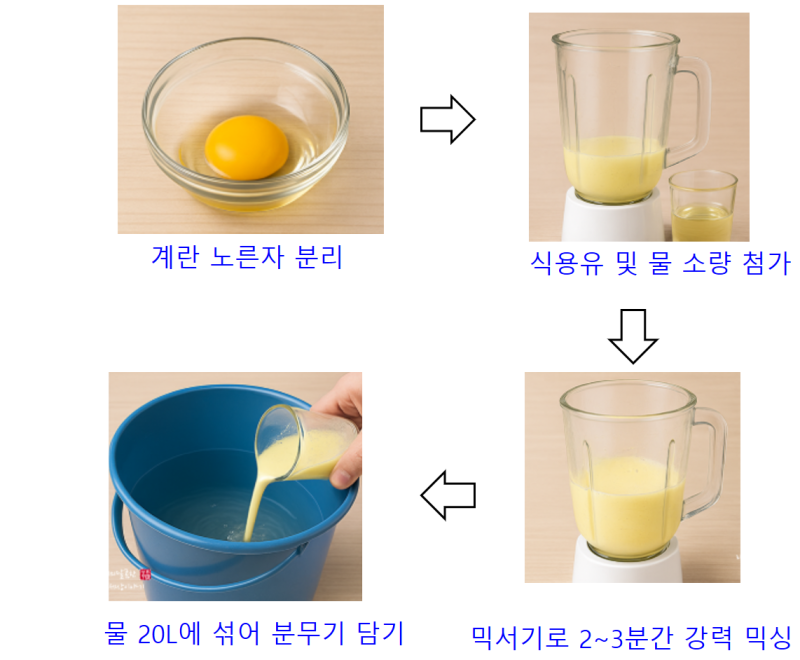 배추 벌레(청벌레·진딧물) 한 방에 잡는 친환경 천연 난황유 만들기 (ft. ✨텃밭아재✨)