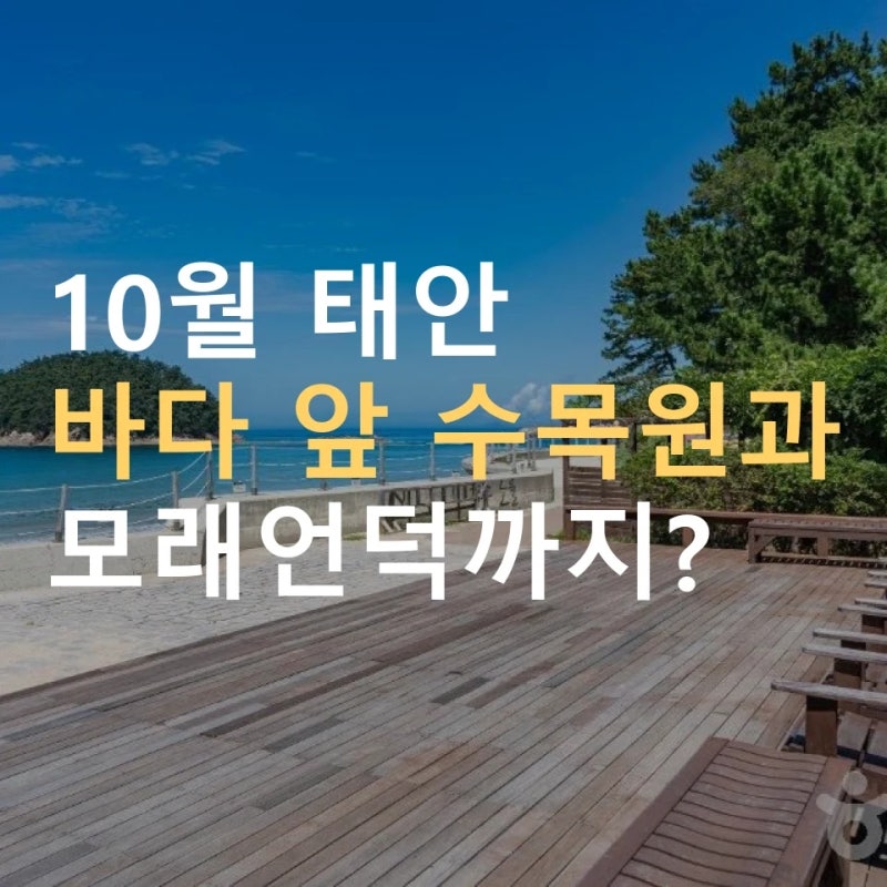태안 가볼만한곳 10월, 천리포수목원과 신두리 해안사구·안면암 ｜ 입장료·운영시간