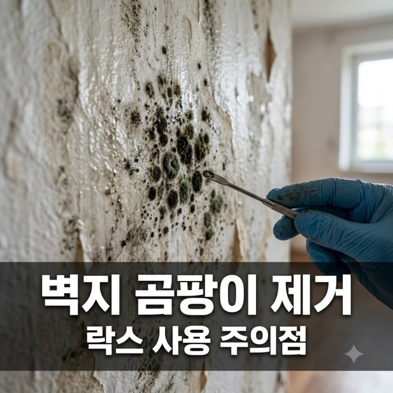 벽지 곰팡이 제거 락스 쓰면 안 되는 이유와 안전한 해결법
