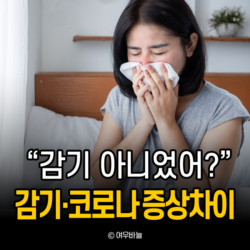 감기 아니었어? 요즘 독감 vs 코로나 초기 증상 차이 총정리