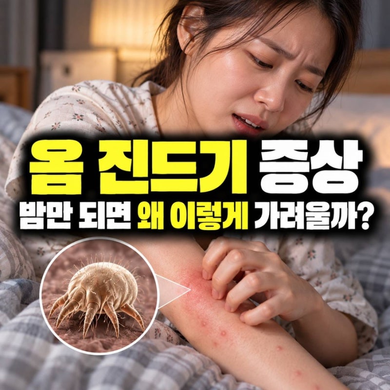 옴 진드기 증상, 밤마다 미친 듯 가렵다면 피부 어디부터 봐야 할까?