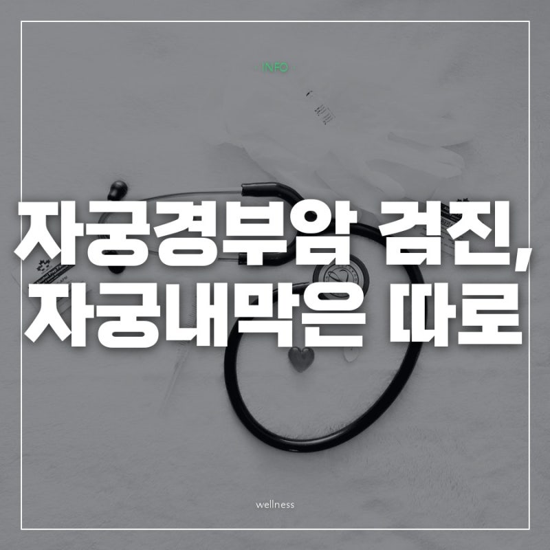 자궁경부암 검진은 20세부터 2년마다 무료인데,자궁내막암은 빠져 있던 이유