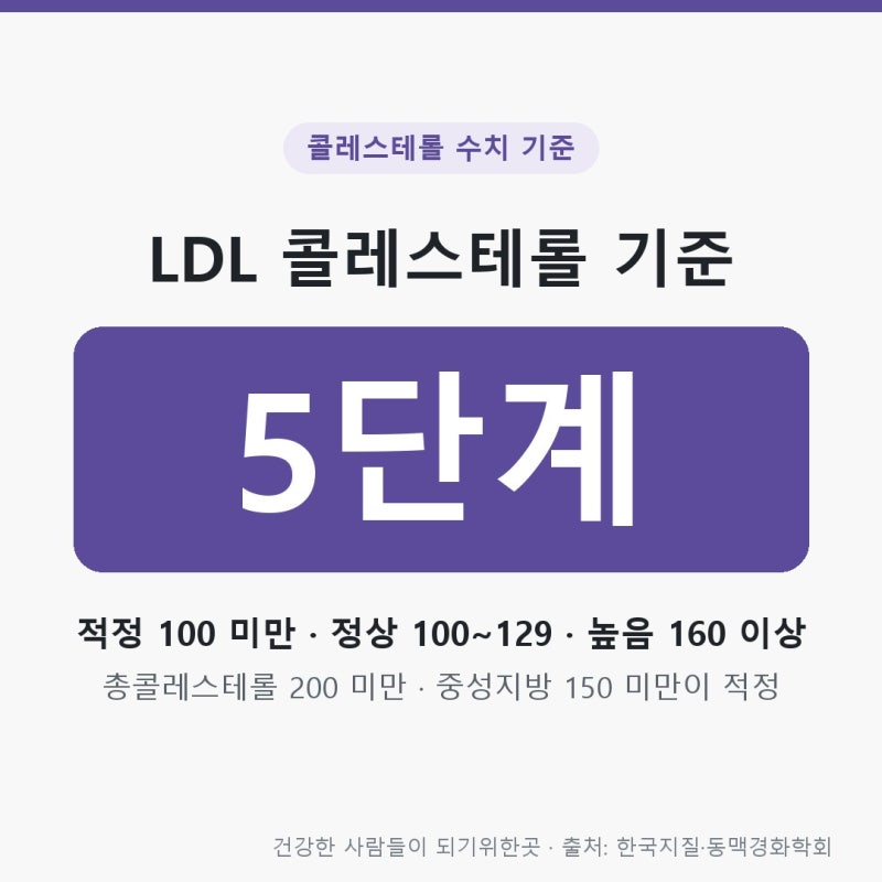 콜레스테롤 수치 기준표, LDL 중성지방 총콜레스테롤 단계별 범위