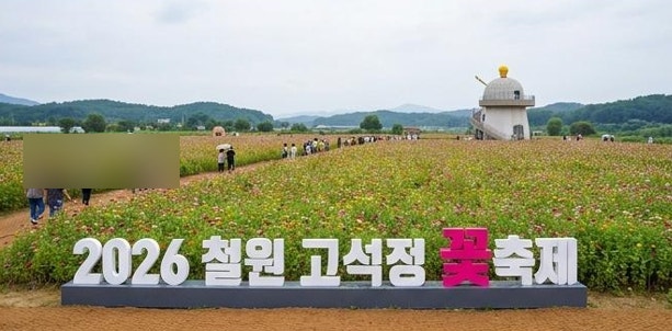 철원 고석정 꽃축제 가을 여행 코스 | 입장료 주차 꿀팁 & 실시간 개화 상황 총정리