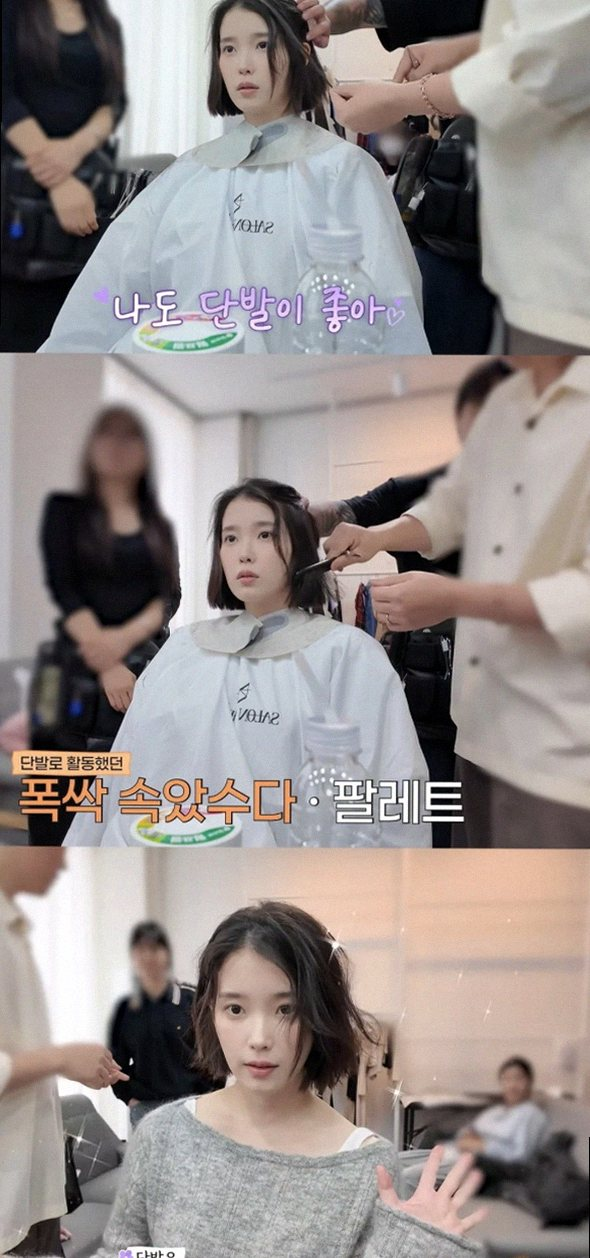 아이유 결혼식 하객룩 화제 신부가 직접 머리 손질해준 훈훈한 미담