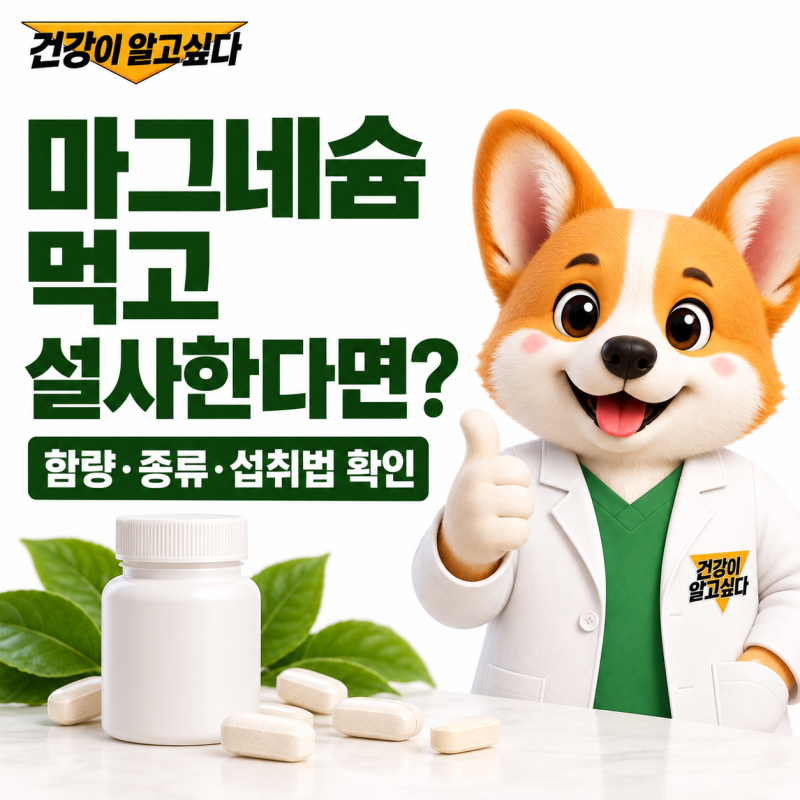 마그네슘 먹고 설사한다면? 함량·종류·섭취 방법 확인하기