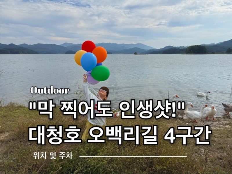 거위야 출근했니? 대청호 오백리길 4구간 | '자연 스튜디오' (feat. 대청호 오백리길 거위 실물 ....