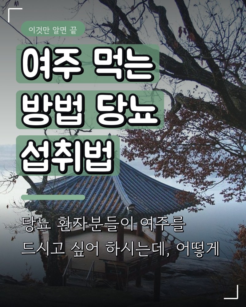 여주 먹는 방법 당뇨 섭취법