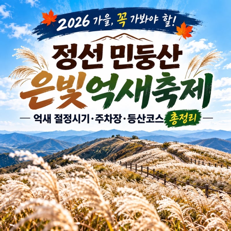2026 정선 민둥산 은빛억새축제｜억새 절정시기·주차장·등산코스 총정리