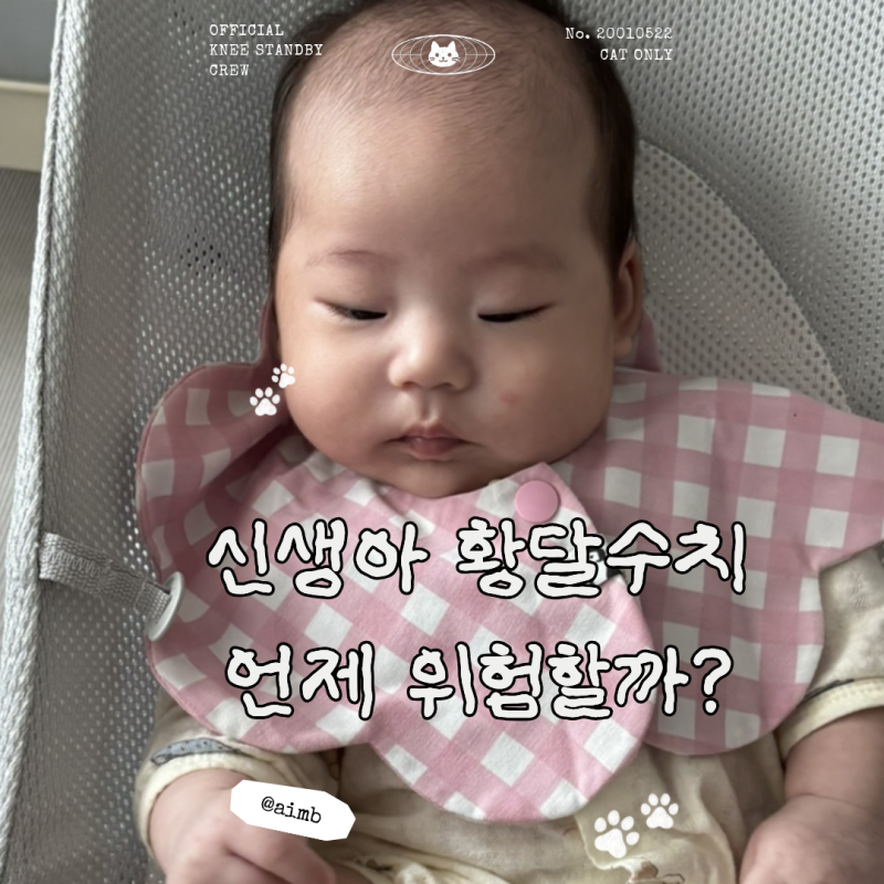 신생아 황달 수치, 언제 위험할까? 원인·증상·모유수유까지 총정리