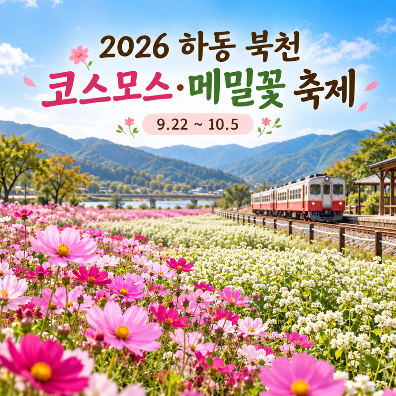 하동 북천 코스모스·메밀꽃 축제｜입장료·주차·볼거리 총정리 (2026/9/22~10/5)