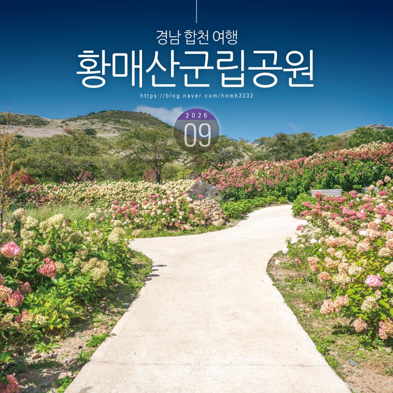 합천 황매산군립공원 황매산 억새축제