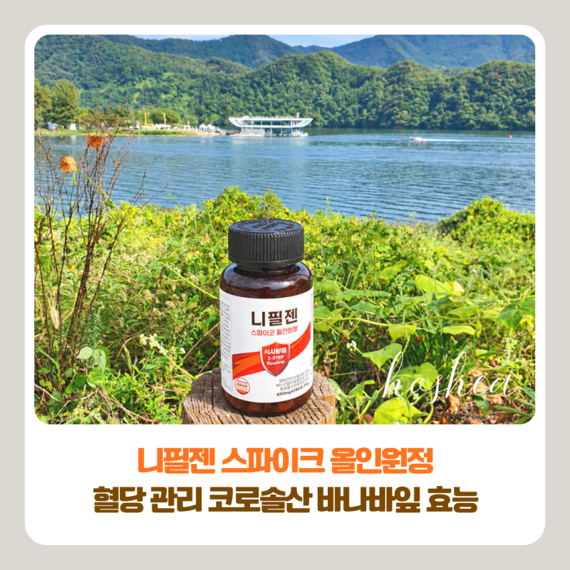 니필젠 스파이크 올인원정 | 혈당 관리 코로솔산 바나바잎 효능