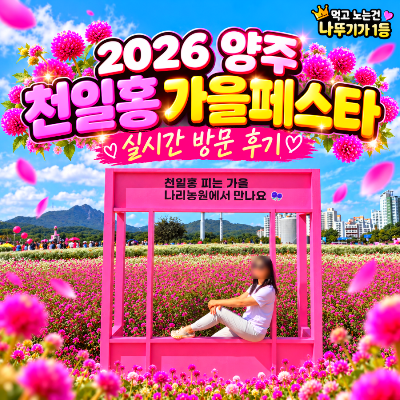 2026 양주 천일홍 가을페스타 나리공원 축제 실시간 방문 주차 후기