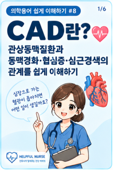 [의학용어 쉽게 이해하기 #8] CAD란? 관상동맥질환과 동맥경화·협심증·심근경색의 관계 총정....