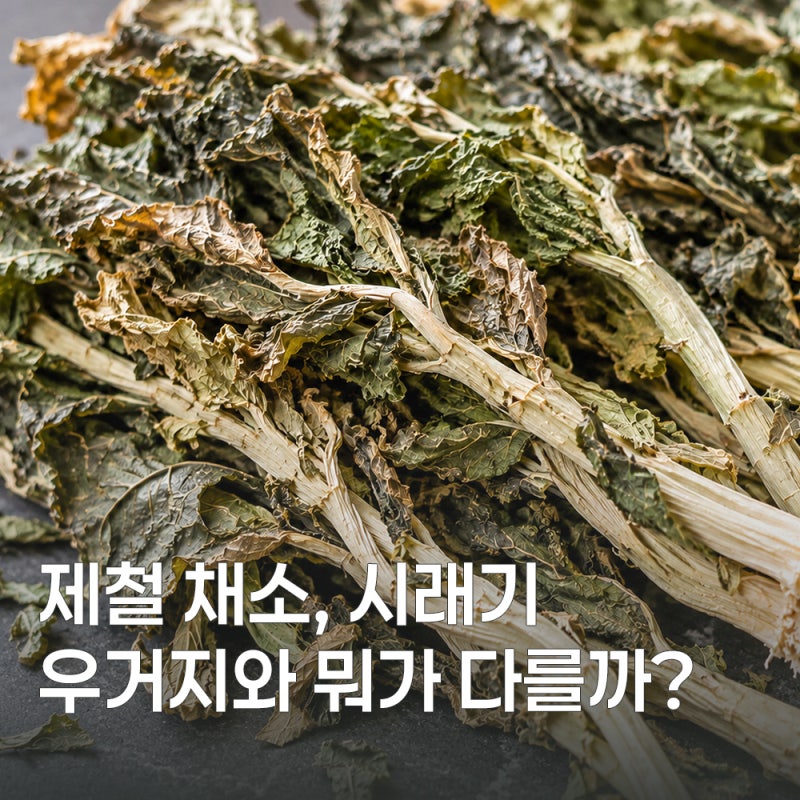 무청을 말린 시래기, 효능부터 손질법까지